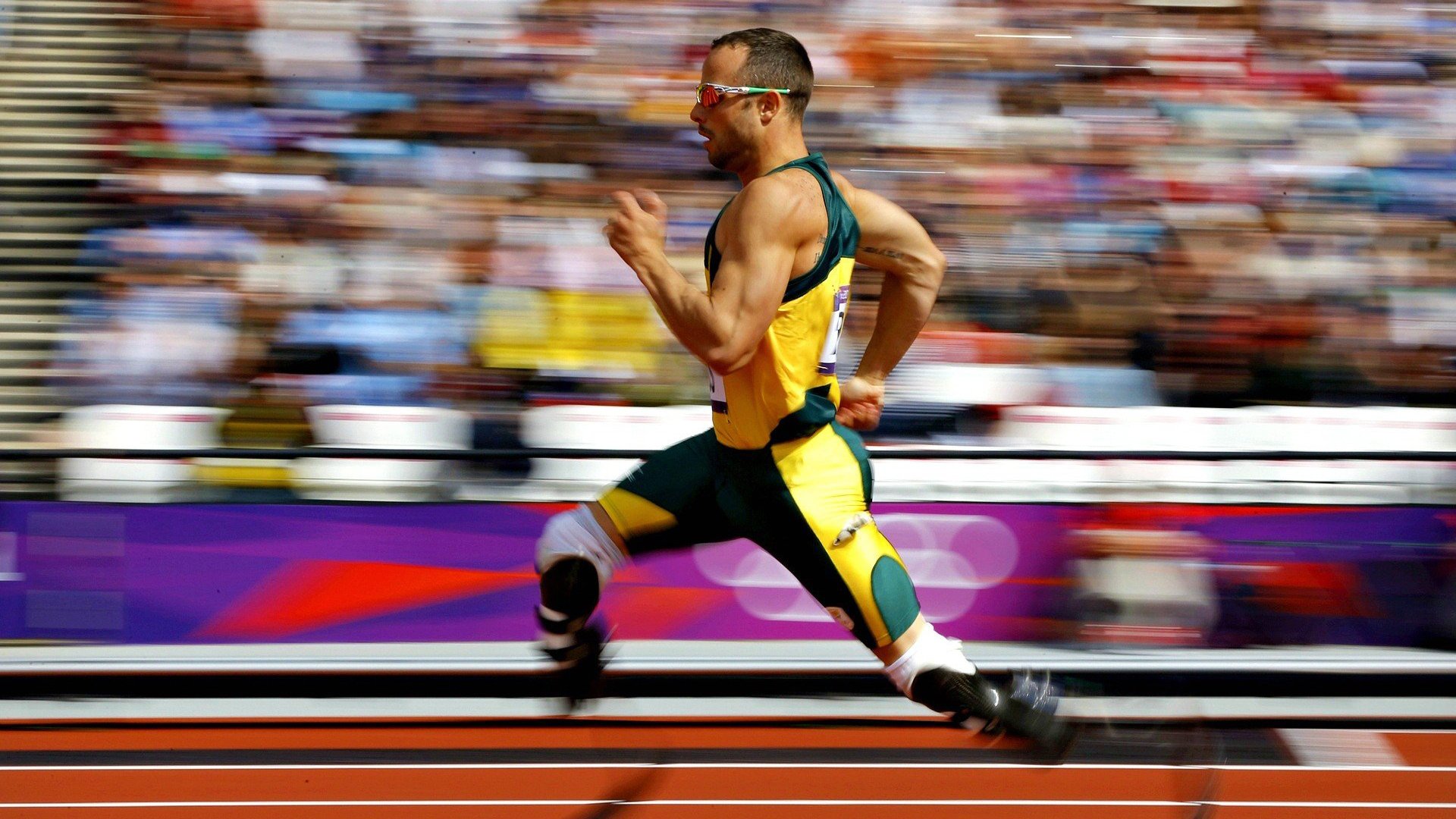 中美澳德蝶泳节奏变化趋势同步对比，蝶泳奥运会比赛视频